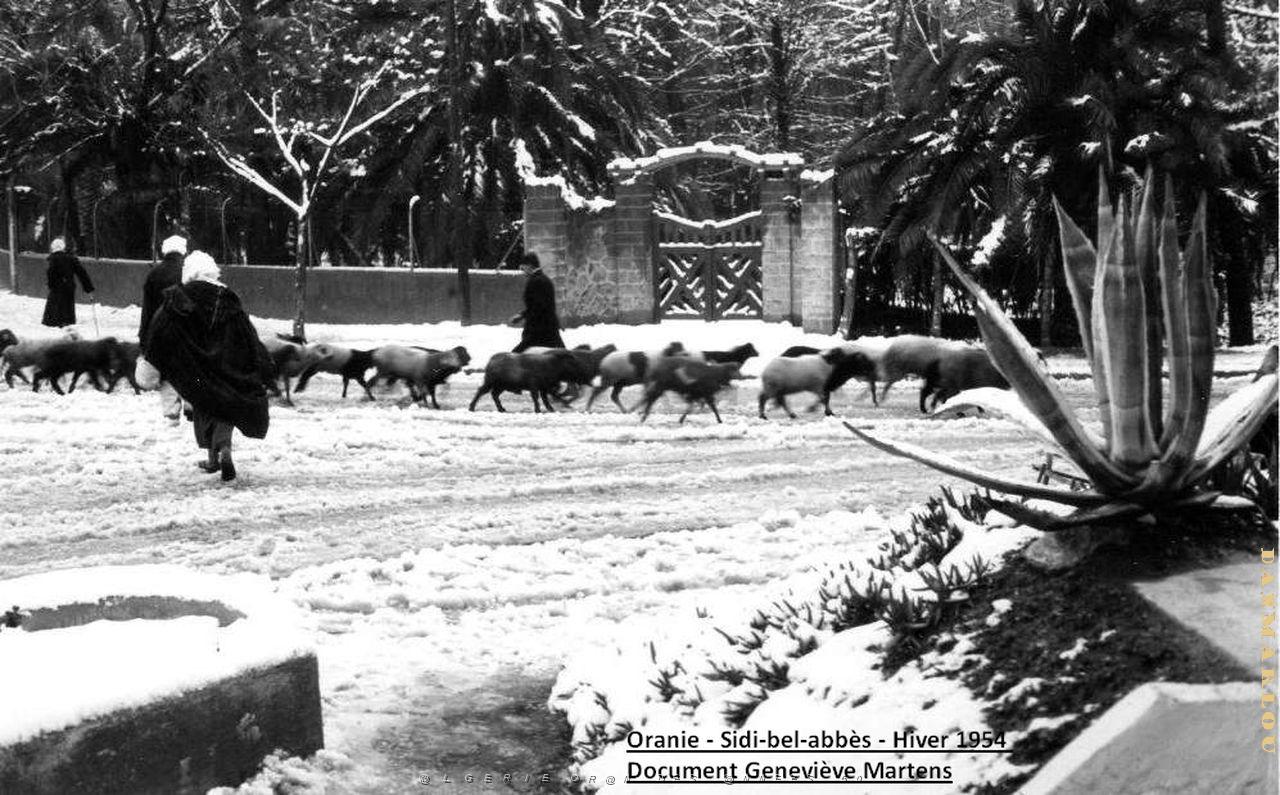 Sidi bel abbes hiver 1954  (7) de Genevieve Martens.jpg